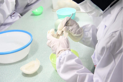 燕窩選購全指南 從入門到精通，找到適合你的那一盞